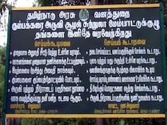வெள்ளப்பெருக்கு... கும்பக்கரை அருவியில் பெருக்கெடுக்கும் நீர்!