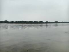 प्रयागराज में नदी किनारे शवों का दफनाए जाने का मामला, प्रशासन बना हुआ है मूकदर्शक