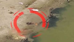 COVID Update: বিহার-উত্তরপ্রদেশ-মধ্যপ্রদেশে জলে ভাসছে মৃতদেহ! 'করোনা রোগীর হলে?', ছড়াচ্ছে আতঙ্ক