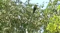 અમદાવાદમાં પ્રિમોંસૂનની કામગીરી કેવી છે? જુઓ વિડીયો