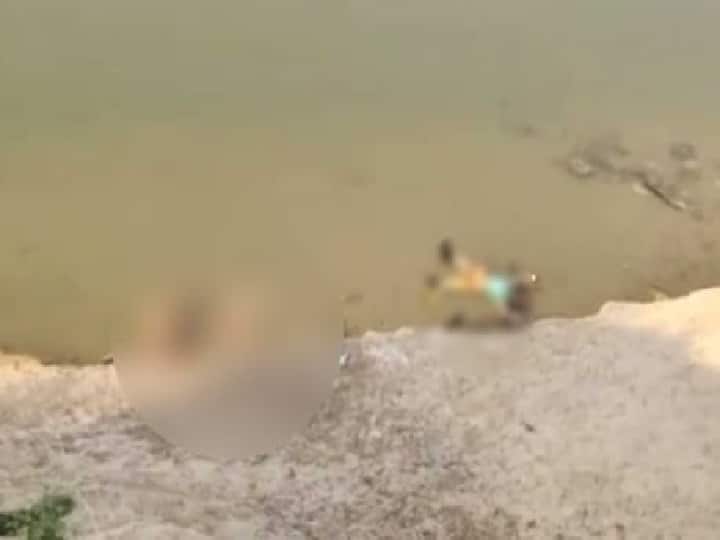 know the reality of dead bodies found floating in river in Ghazipur uttar pradesh ann गाजीपुर: सामने आई नदी में लाशों के मिलने की सच्चाई, बिहार से जुड़ा है लिंक  