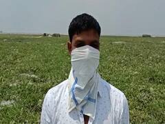 कोसी तटबंध में खेती कर रहे यूपी के किसान, रेतीली जमीन पर फल और सब्जियों की कर रहे ऊपज