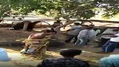 પંચમહાલઃ આડાસંબંધની શંકા રાખી ઝાડ સાથે બાંધી પુરષ અને મહિલાને મરાયો માર, જુઓ વીડિયો