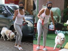 अपने Pet को घुमाने निकलीं Malaika Arora, इस बार तस्वीरें देख चकरा गया लोगों का सिर