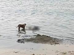 बलिया: गंगा नदी के तट पर मिले 2 शव, प्रशासन ने कराया अंतिम संस्कार