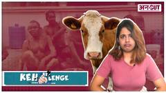 गाय के गोबर से कोरोना को खतरा