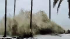 TAUKTAE : सिंधुदुर्ग,महाबळेश्वरात पावसाला सुरुवात, तोक्ते चक्रीवादळामुळे राज्यात सतर्कतेचा इशारा