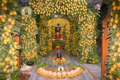 PHOTO : विठ्ठल आवडी प्रेमभाव... अक्षय्य तृतीयेनिमित्त विठुमाऊलीच्या गाभाऱ्याला आमराईचं रुप