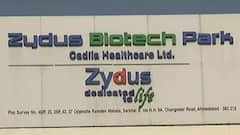 Ahmedabad:ઝાયડ્સે શોધી તરુણો માટેની વેક્સિન, ક્યારે મળશે આ વેક્સિન અને કેટલી કારગર સાબિત થશે,જુઓ વીડિયો