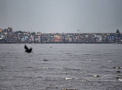 IN PICS | Heavy Rains Lash Kerala, Cloudy Weather In Mumbai As Coastal States Prepare To Face Cyclone Tauktae