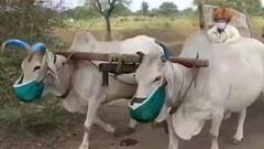 MP: सीहोर कै चंदेरी गांव से पूरे देश के गांवों की सीखने की जरूरत, जानिए क्यों? | Corona Crisis