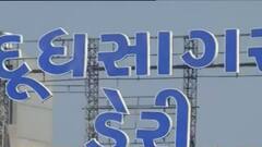 દૂધસાગર ડેરીના ભેળસેળ વાળા ઘીની પશુઆહાર માટે ઉપયોગની મળી મંજૂરી, પ્રતિ કિલો કેટલા છે ભાવ?