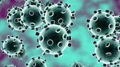 Coronavirus India Update: Dip in tally with 3.26L new cases & 3,890 deaths in one day