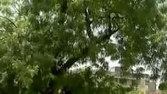 Ahmedabad: આ વિસ્તારમાં એબીપી અસ્મિતાના રિયાલીટી ચેકમાં પ્રિ મોન્સુન કામગીરીના નામે પોલંપોલ આવી સામે