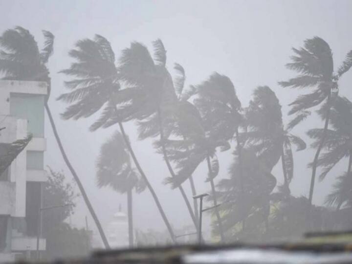 Cyclone Tauktae: चक्रवात तौकते NDRF की टीमों की संख्या बढ़ाई गई, राहत और बचाव कार्य में जुटीं 100 टीमें Cyclone Tauktae Now NDRF 100 Teams Continuing And Rescue Work Cyclone Tauktae: चक्रवात तौकते NDRF की टीमों की संख्या बढ़ाई गई, राहत और बचाव कार्य में जुटीं 100 टीमें