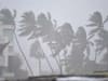 Cyclone Tauktae: चक्रवात तौकते NDRF की टीमों की संख्या बढ़ाई गई, राहत और बचाव कार्य में जुटीं 100 टीमें