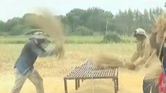 તૌકતે વાવાઝોડાના કારણે દક્ષિણ ગુજરાતના ખેડૂતોના જીવ થયા અધ્ધર, ખેડૂતોએ શું કહ્યું?