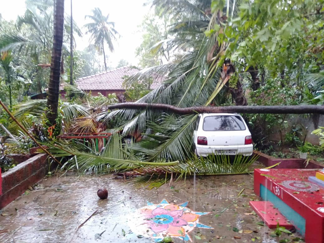 Maharashtra Cyclone Tauktae: तोक्ते चक्रीवादळाचे कोकणात रौद्ररुप; घरांची छप्परं उडाली, फळबागा जमीनदोस्त तर अनेक ठिकाणची बत्ती गुल