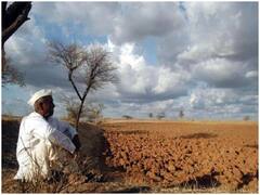 जलवायु परिवर्तन से दुनिया के एक तिहाई खाद्य उत्पादन पर मंडरा रहा खतरा, नए रिसर्च में अनुमान