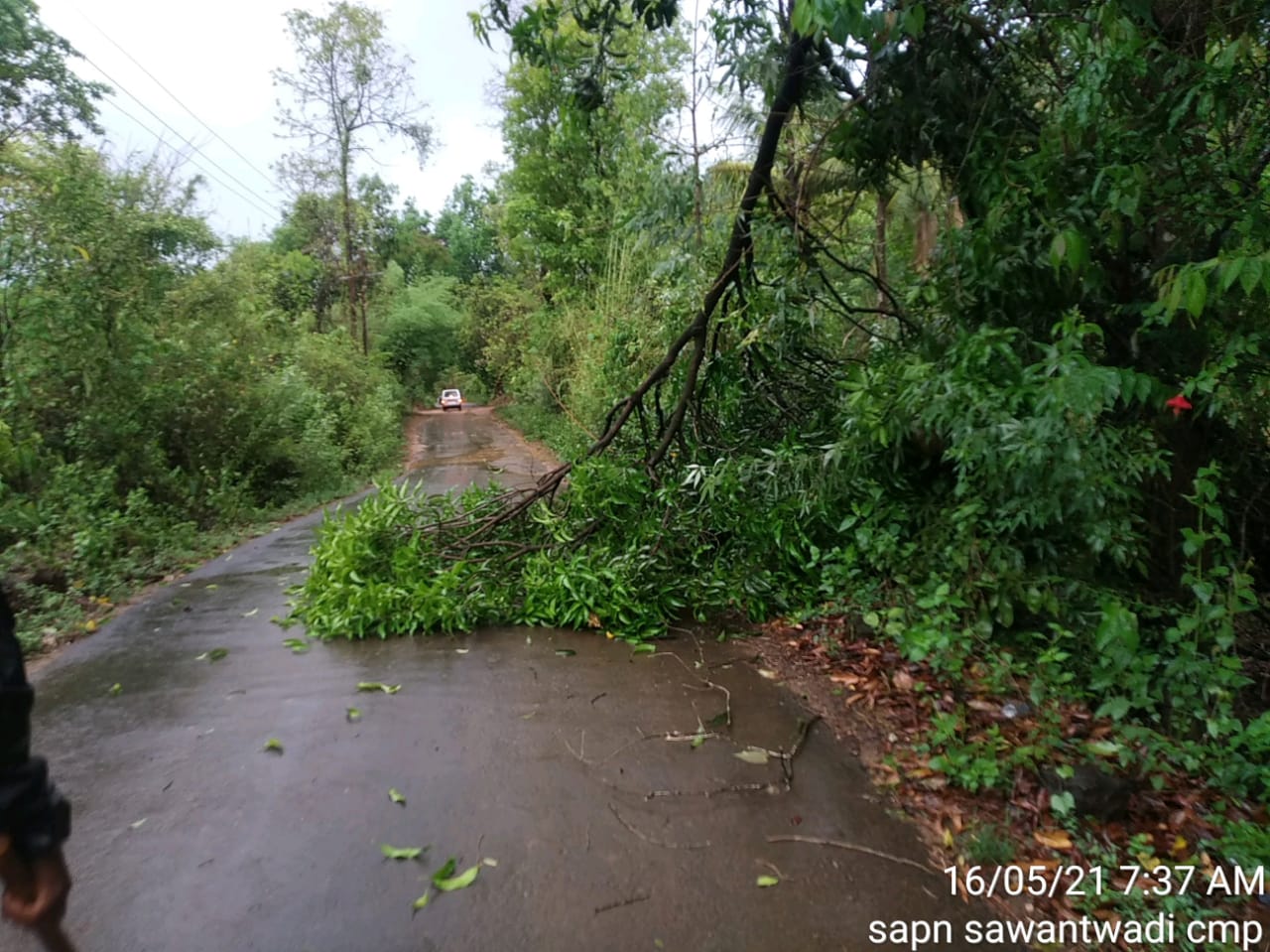 Maharashtra Cyclone Tauktae: तोक्ते चक्रीवादळाचे कोकणात रौद्ररुप; घरांची छप्परं उडाली, फळबागा जमीनदोस्त तर अनेक ठिकाणची बत्ती गुल