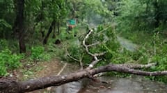सिंधुदुर्ग, रत्नागिरी, पालघरमध्ये वादळाचा तडाखा, मुसळधार पावसामुळे गोव्यात रस्त्यांवर पाणी साचलं