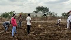 MP Rajiv Satav Cremation : काँग्रेस खासदार राजीव सातव यांचं निधन, उद्या हिंगोलीत होणार अंत्यसंस्कार