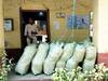 कैमूरः नमक लदे ट्रक से 50 लाख रुपये का गांजा बरामद, 13 बोरे में लेकर आ रहा था धंधेबाज