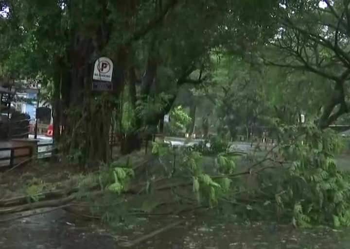 গোয়া সহ কর্ণাটক, কেরল, মহারাষ্ট্রের মতো রাজ্যের ওপর তওতের প্রভাব নিয়ে ব্যবস্থা নিতে ইতিমধ্যে উচ্চপর্যায়ের বৈঠক সেরেছেন ক্যাবিনেট সেক্রেটারি রাজীব গৌবা। (ছবি ও তথ্য-ANI)
