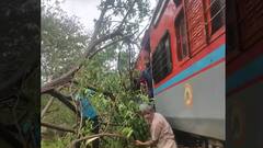 Cyclone Tauktae की वजह से हुआ हादसा, गोवा में नेत्रावती एक्सप्रेस पर गिरा पेड़