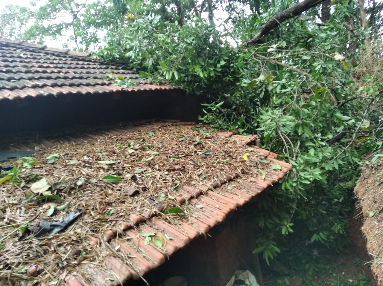 Maharashtra Cyclone Tauktae: तोक्ते चक्रीवादळाचे कोकणात रौद्ररुप; घरांची छप्परं उडाली, फळबागा जमीनदोस्त तर अनेक ठिकाणची बत्ती गुल