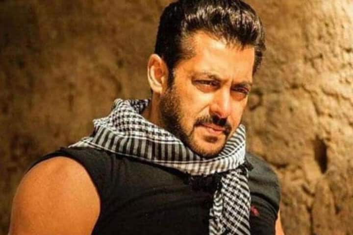 when bollywood actor Salman Khan fan hit khan brother read full story जब एक फैन ने ही जड़ दिया था Salman Khan की कमर पर डंडा, बुलानी पड़ी थी पुलिस