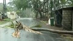 Cyclone Tauktae: गोवा से 150 किमी दूरी पर है तूफान ताउते, तेज हवाओं ने गिराए पेड़