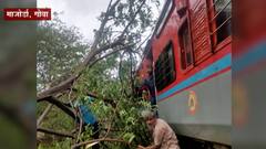 Cyclone Tauktae : तोक्ते चक्रीवादळाचा गोव्यात फटका, माजोर्डा रेल्वे स्थानकाजवळ रेल्वे मार्गावर झाड कोसळलं