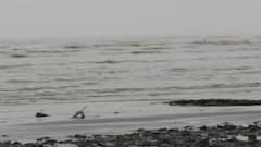 વાવાઝોડું વેરાવળના દરિયાથી માત્ર 648 કિલોમીટર દૂર, લોકોને સ્થળાંતર કરવાની સૂચના અપાઇ