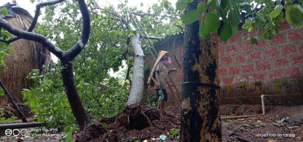 Maharashtra Cyclone Tauktae: तोक्ते चक्रीवादळाचे कोकणात रौद्ररुप; घरांची छप्परं उडाली, फळबागा जमीनदोस्त तर अनेक ठिकाणची बत्ती गुल