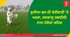 ਦੁਨੀਆ ਭਰ ਦੀ ਖੇਤੀਬਾੜੀ 'ਤੇ ਖਤਰਾ, ਜਲਵਾਯੂ ਤਬਦੀਲੀ ਨਾਲ ਮੱਚੇਗਾ ਕਹਿਰ