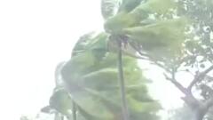 Six die in southern India due to cyclone Tauktae