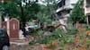 Ulhasnagar Cyclone Death: उल्हासनगरमध्ये रिक्षावर झाड कोसळून एका प्रवाशाचा मृत्यू, दोन जण गंभीर जखमी