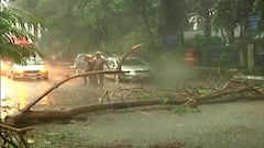 Cyclone Tauktae : दक्षिण मुंबईत पावसाचा धुमाकूळ ; कुलाबा परिसरात झाडं कोसळली