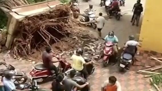 ગોવામાં તૌક્તે વાવાઝોડાથી કેટલું નુકસાન?