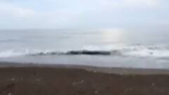 તૌકતે વાવાઝોડાના પગલે આ જિલ્લામાં એલર્ટ,ક્યાં થશે સૌથી વધુ અસર?,જુઓ વીડિયો