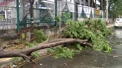 Cyclone Tauktae: Mumbai witnesses uprooted trees, rainfall