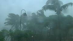 BANDRA High Tide : वांद्रे बॅंडस्टॅंडवर चक्रीवादळामुळे झाडं आडवी, समुद्रातील बोटींमध्ये माणसं अडकली