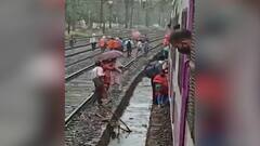 Cyclone Tauktaeचा मध्य रेल्वेला फटका; घाटकोपर-विक्रोळी दरम्यान झाडाची फांदी ओव्हरहेड वायरवर कोसळली