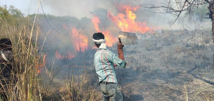 ਅੱਜ ਚੰਡੀਗੜ੍ਹ ਵਿੱਚ ਧਨਾਸ ਦੇ ਜੰਗਲ 'ਚ ਅੱਗ ਲੱਗ ਗਈ। (Photo Credit:- Meharban Singh)
