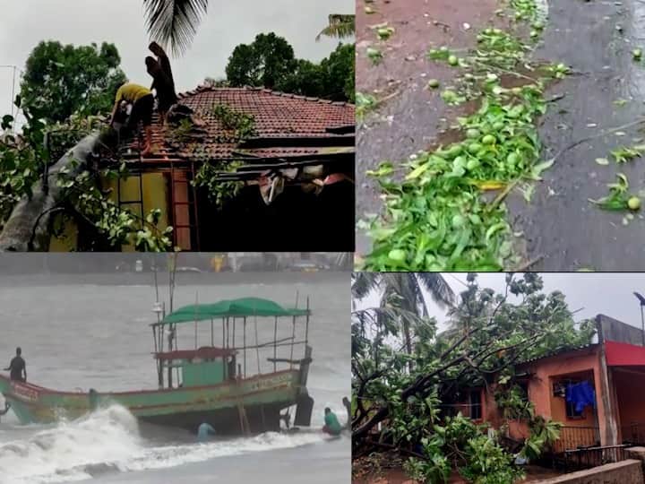 447 houses damaged, 144 displaced in Sindhudurg due to Cyclone Tauktea Cyclone Tauktae : तोक्ते चक्रीवादळामुळे सिंधुदुर्ग अंधारात, 447 घरांचे नुकसान तर 144 नागरिकांचं स्थलांतर
