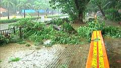 Cyclone Tauktae : तोक्ते चक्रीवादळाचा मुंबईला तडाखा बसायला सुरुवात; शिवाजी पार्क परिसरात झाडं कोसळली
