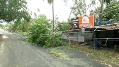 Cyclone Tauktae leads to heavy destruction, power-cut in Goa's Saligao