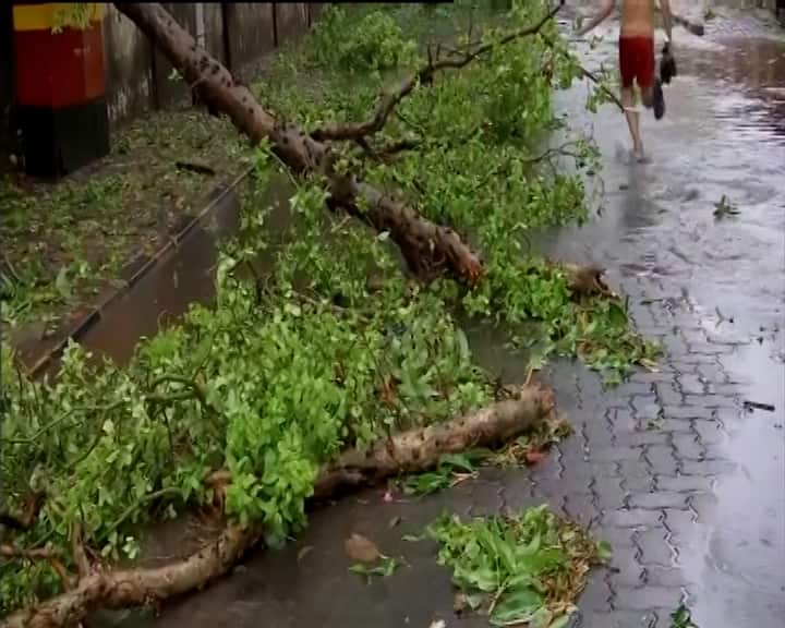 ইতিমধ্যেই জলমগ্ন মুম্বইয়ের একাধিক এলাকা। মুম্বই এবং থানেতে ছোট বড় মিলিয়ে প্রায় ৩০টি গাছ উপড়ে গিয়েছে। বেশকিছু বাড়ির ক্ষয়ক্ষতি হয়েছে। মালদ, কান্দিভালি, দহিসার, আন্ধেরি, সান্তক্রুজ-সহ একাধিক সাবওয়ে জলমগ্ন হয়েছে।