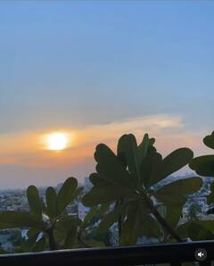 Mimi Chakraborty Covid19 Tips: 'গাছ লাগান, বই পড়ুন,' করোনাকালে ভালো থাকার টিপস দিচ্ছেন মিমি